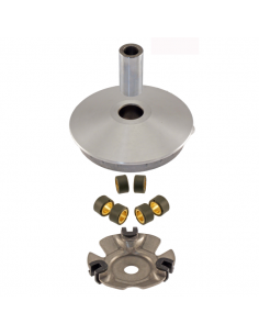 Semipuleggia motrice mobile... 2