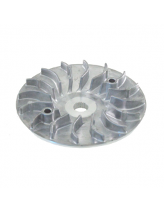 Semipuleggia motrice fissa...