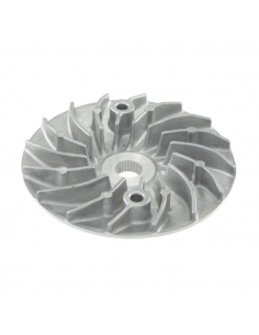 Semipuleggia motrice fissa...