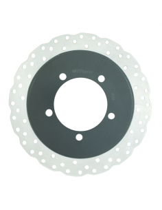 Disco freno posteriore... 2