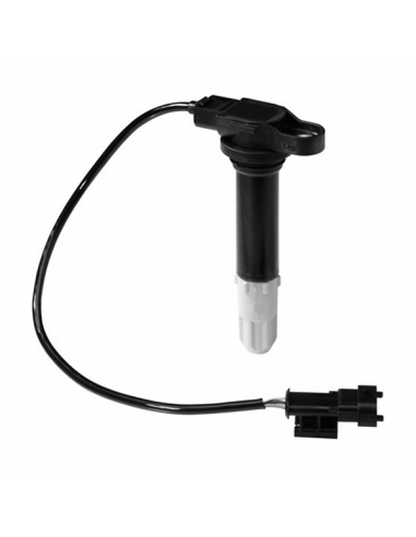 Bobina Champion BAEA085