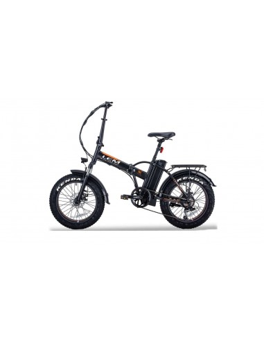 E-BIKE Orlando Comfort LEM