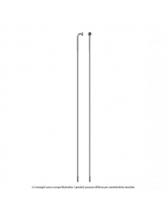Raggio - Alpina inox flat...