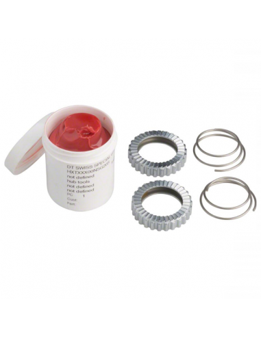 Kit Revisione Ratchet - 24D