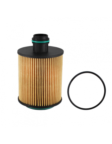 Filtro olio Piaggio Porter D120 Euro5...