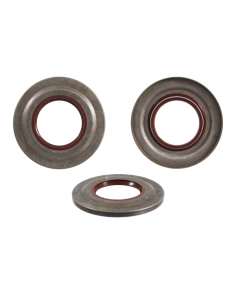 Paraolio Corteco Viton...