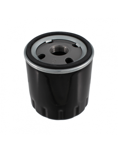 Filtro olio Piaggio Porter Diesel...