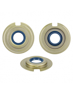 Paraolio Corteco blu 20X40X6