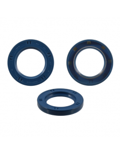 Paraolio Corteco blu 30X47X6