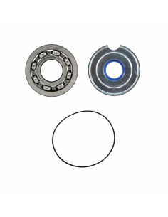 Kit revisione albero motore...