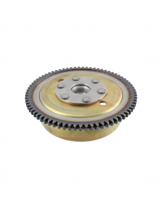 Rotore dentato per statore...