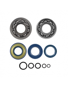 Kit revisone albero motore... 2