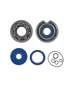 Kit revisione albero motore... 2