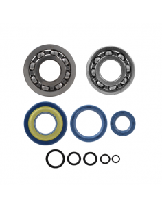 Kit revisone albero motore... 2