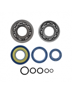 Kit revisione albero motore... 2