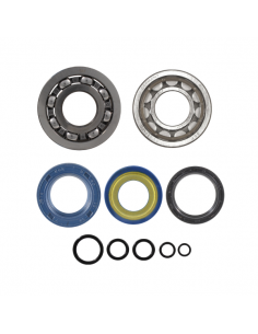 Kit revisione albero motore... 2