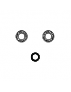 Kit revisione albero motore... 2