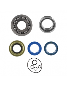 Kit revisone albero motore... 2