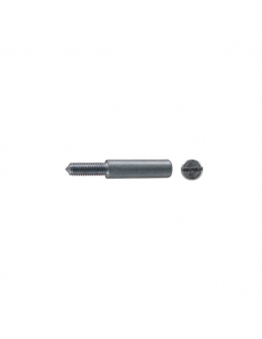 Vite filtro aria posteriore...