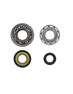 Kit revisione albero motore... 2