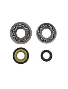 Kit revisione albero motore... 2