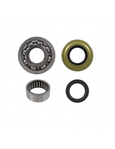 Kit revisione albero motore... 2