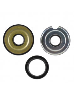 Serie paraoli motore... 2