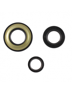 Serie paraoli motore... 2