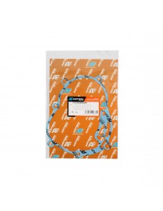 Guarnizione gruppo...