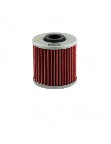 Filtro olio Champion Kymco Xciting...
