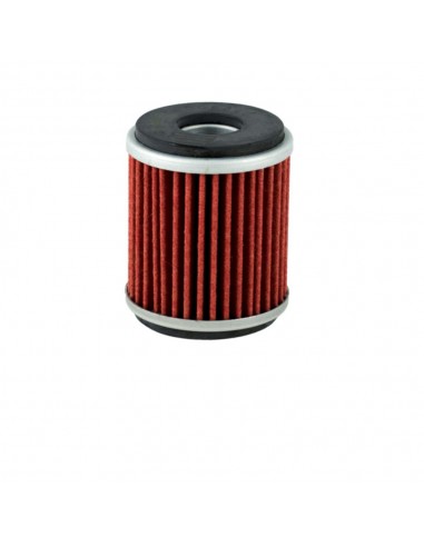 Filtro olio Champion COF040 Yamaha Wr...