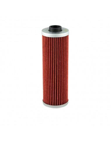 Filtro Olio Champion COF061 BMW Serie...