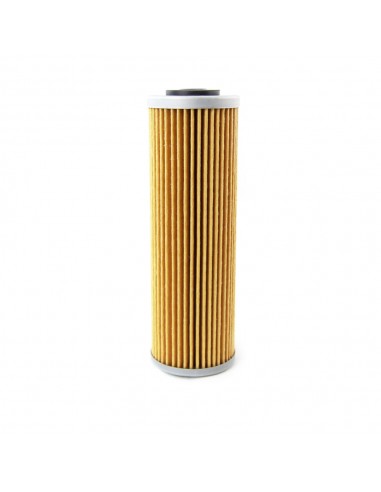 Filtro olio Champion COF550 KTM tutti...