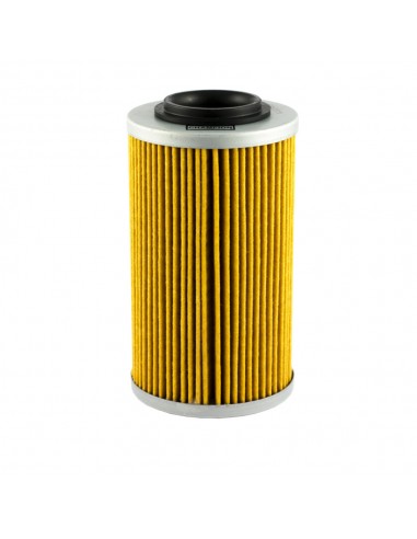 Filtro Olio Champion COF464