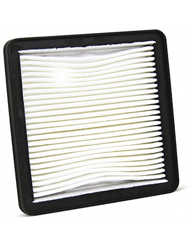 Filtro Aria Champion CAF3302