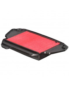Filtro Aria Champion CAF0622