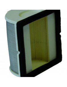 Filtro aria Champion CAF3909