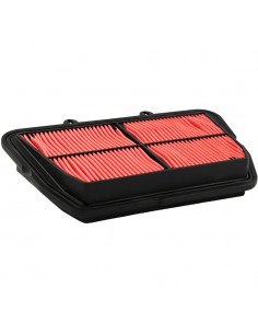 Filtro aria caf5501 Triumph...