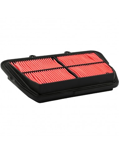 Filtro aria caf5501 Triumph 800