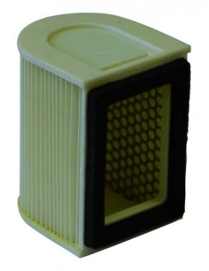 Filtro aria Champion J310...