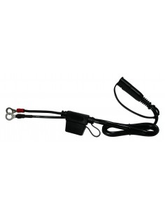 TERMINALE AD ANELLO CON...