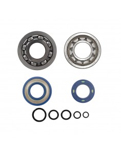 Kit revisione albero motore...