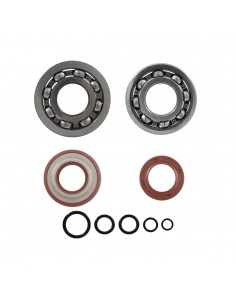Kit revisione albero motore...