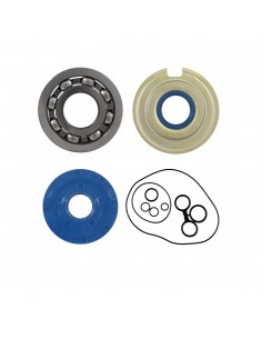 Kit revisione albero motore...