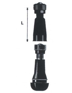 Valvola tubeless diritta...