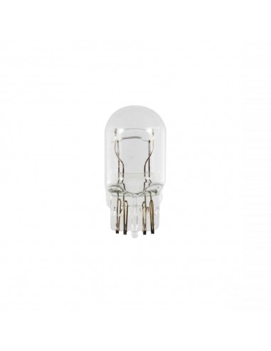 Lampadina bianca 12V 21/5W T20