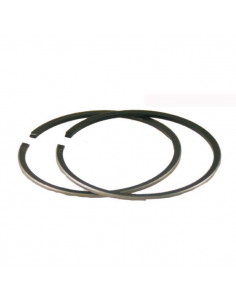 Kit fasce elastiche Honda...