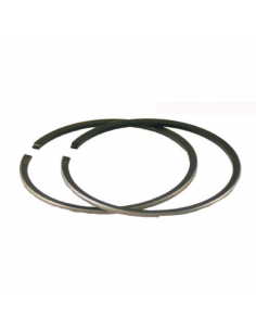 Kit fasce elastiche Honda...