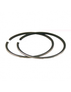 Kit fasce elastiche Kymco...