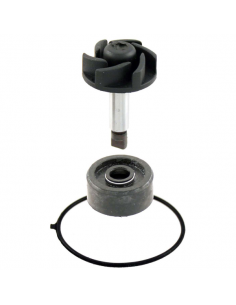 Kit revisione pompa acqua...